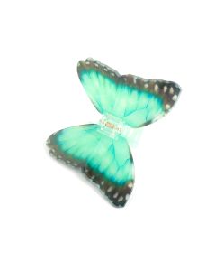 HH0067 Butterfly Hair Claw Clip Mint