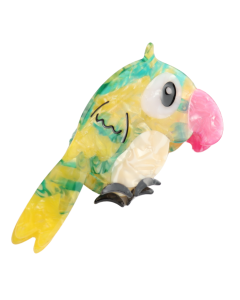 HH0731 Bright Parrot Hair Claw Clip